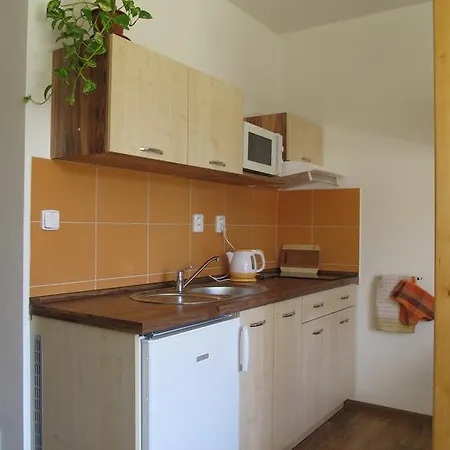 Berger Pec Privat Apartment Pec pod Snezkou Room photo